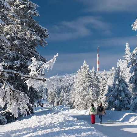 Ferienwohnung Arnika Inklusive Waeschepaket Braunlage Exteriör bild