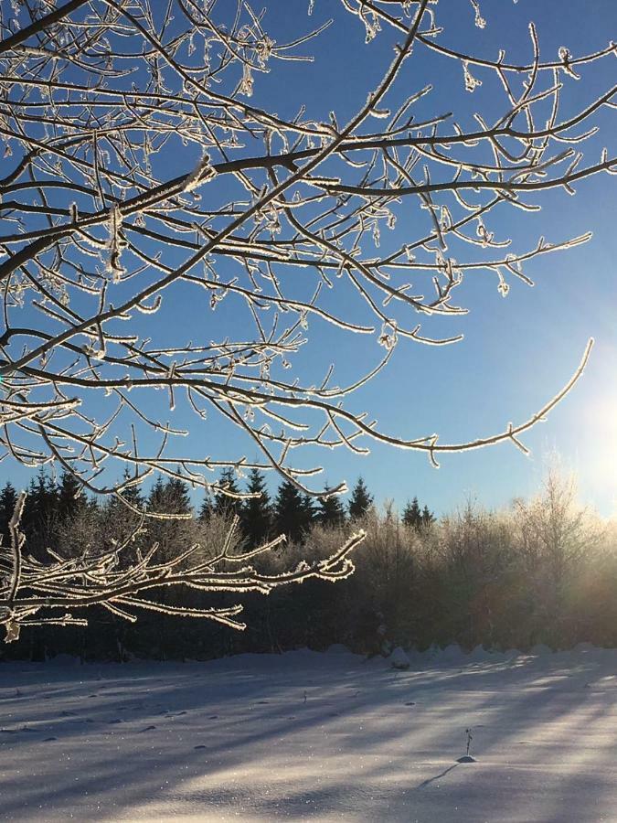 Ferienwohnung Arnika Inklusive Waeschepaket Braunlage Exteriör bild
