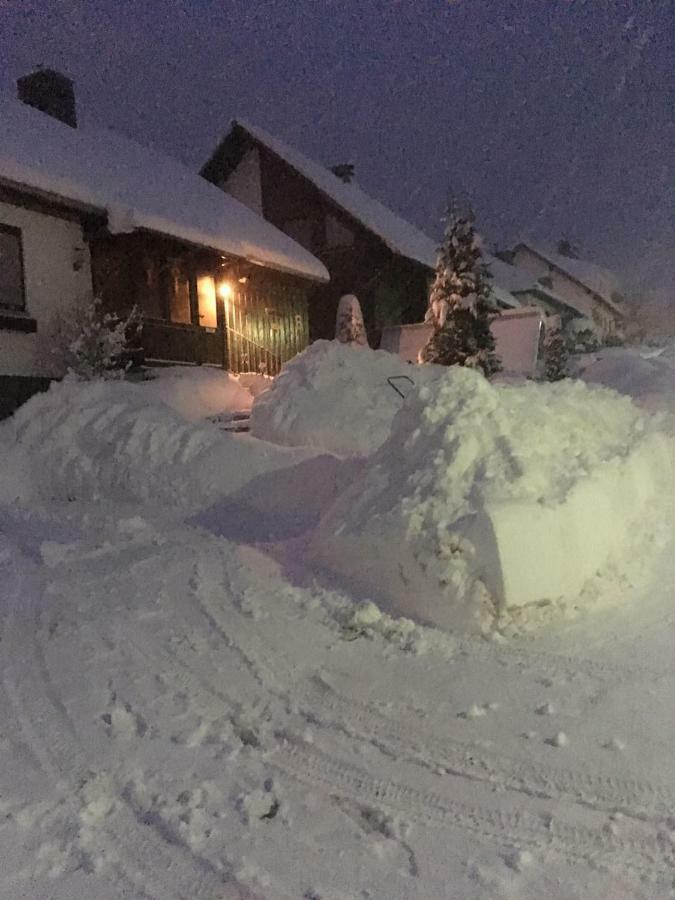 Ferienwohnung Arnika Inklusive Waeschepaket Braunlage Exteriör bild