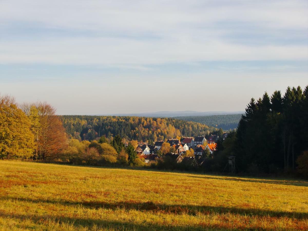 Ferienwohnung Arnika Inklusive Waeschepaket Braunlage Exteriör bild