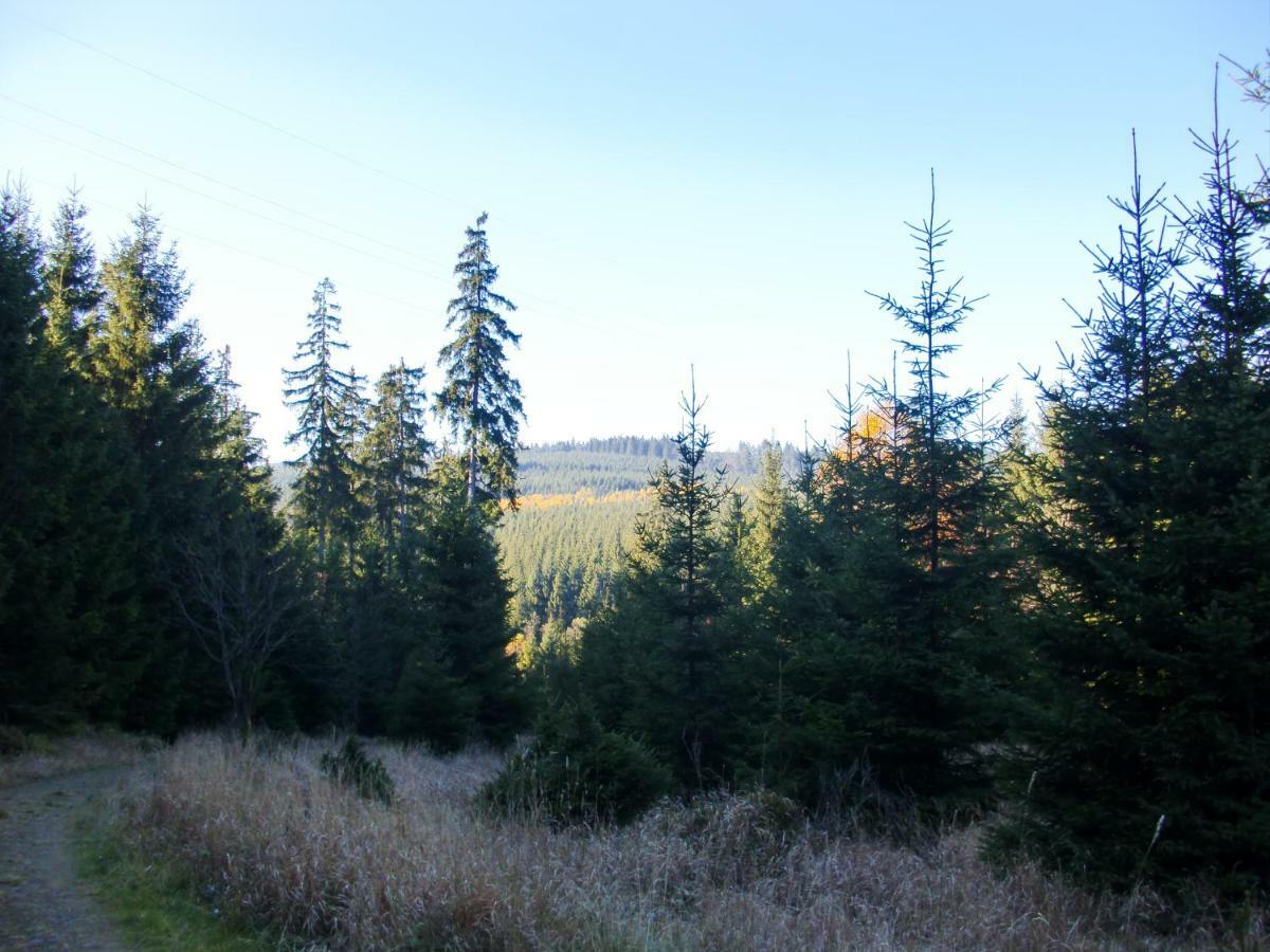 Ferienwohnung Arnika Inklusive Waeschepaket Braunlage Exteriör bild