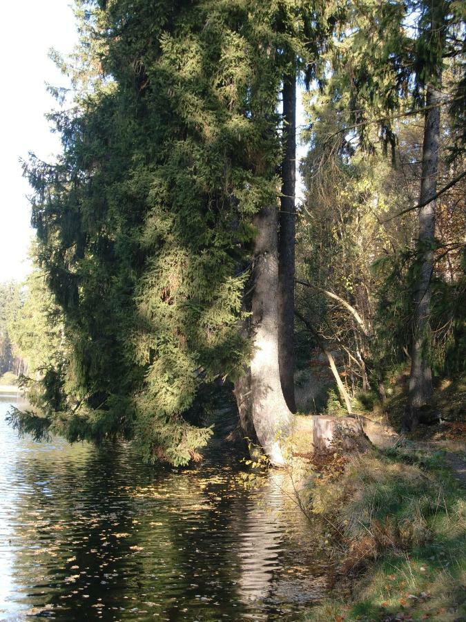 Ferienwohnung Arnika Inklusive Waeschepaket Braunlage Exteriör bild