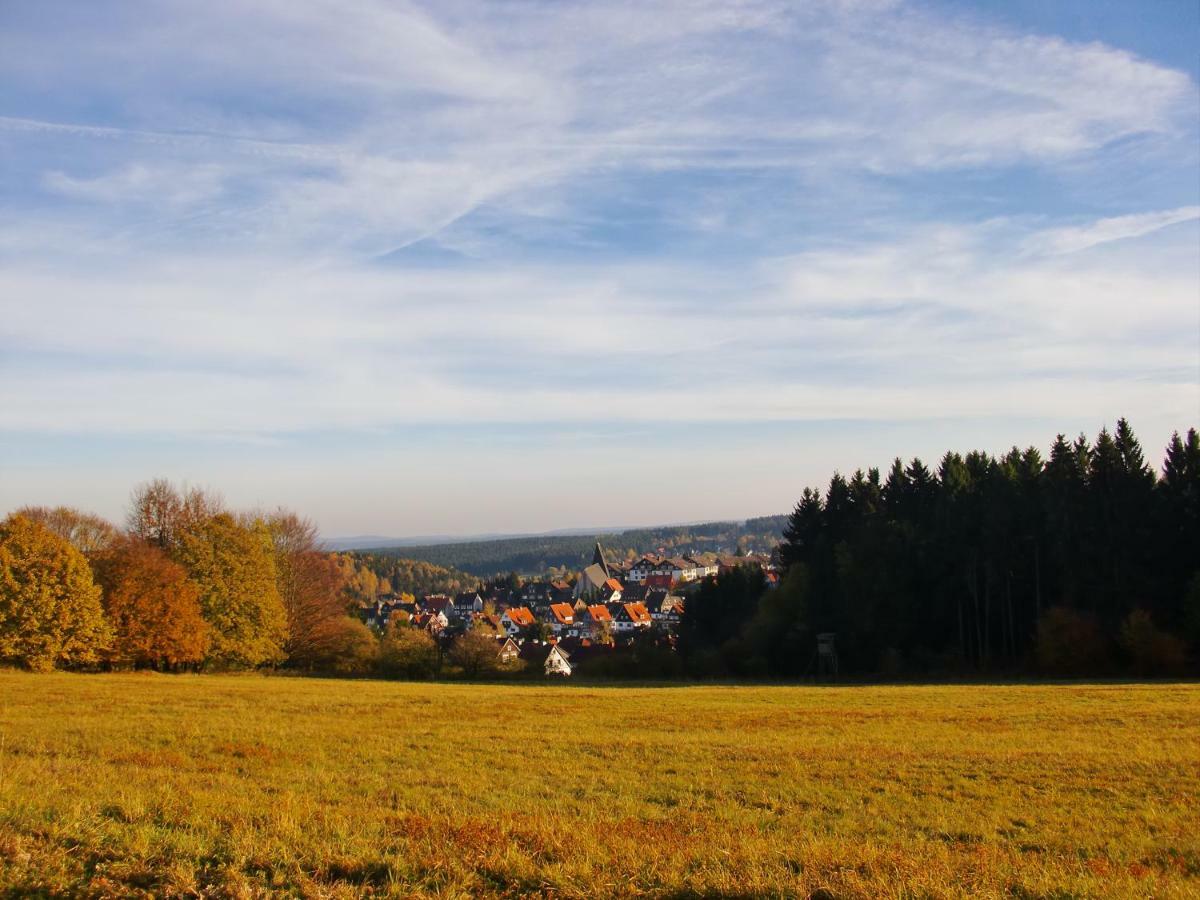 Ferienwohnung Arnika Inklusive Waeschepaket Braunlage Exteriör bild
