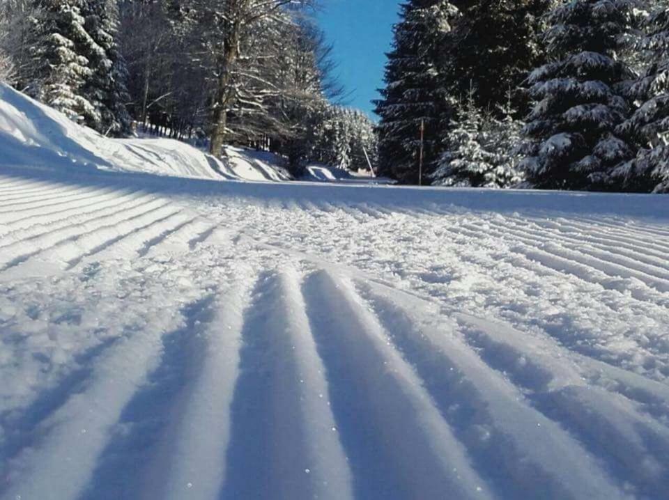Ferienwohnung Arnika Inklusive Waeschepaket Braunlage Exteriör bild