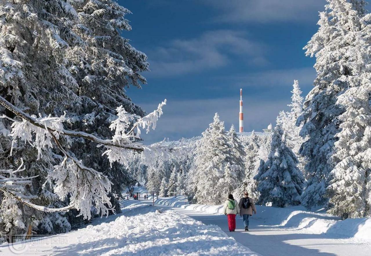 Ferienwohnung Arnika Inklusive Waeschepaket Braunlage Exteriör bild